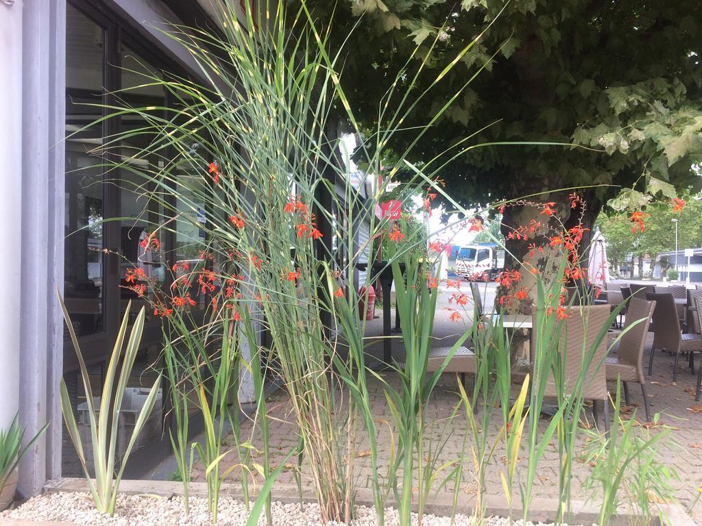 La Hourquie Cafe Otel Morlaas Dış mekan fotoğraf